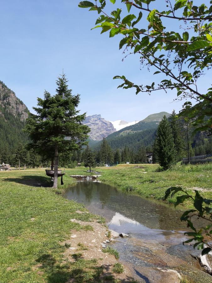 Piccola Residenza Daire Champoluc Dış mekan fotoğraf