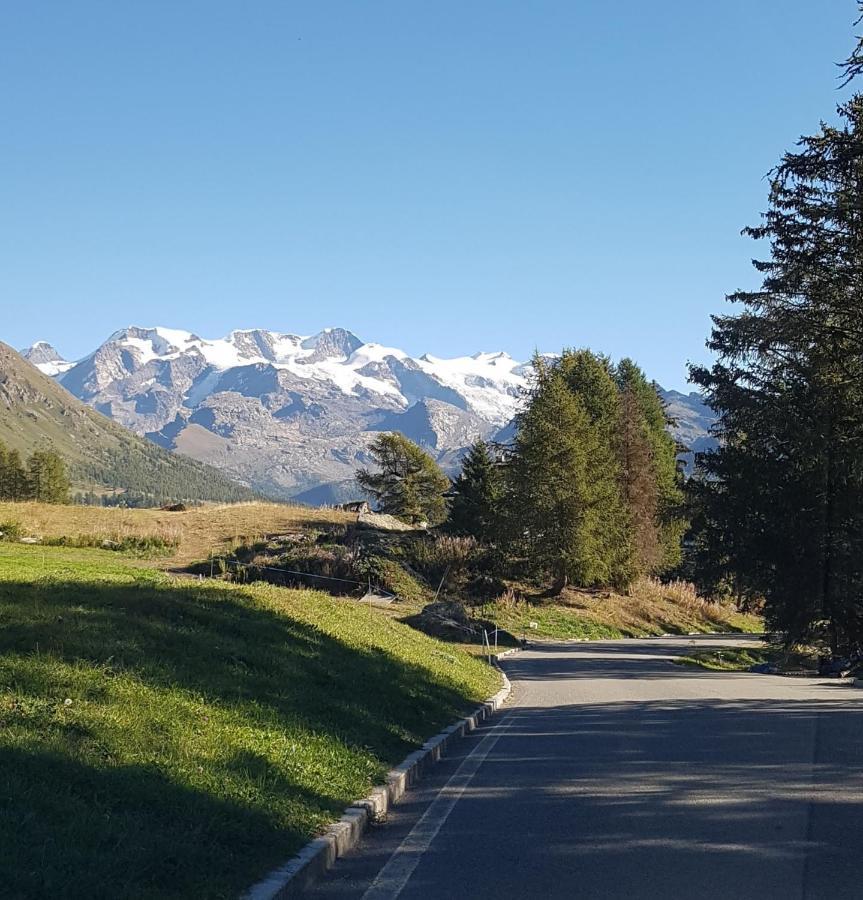 Piccola Residenza Daire Champoluc Dış mekan fotoğraf