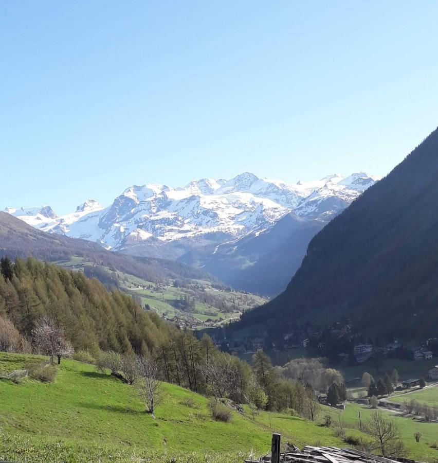 Piccola Residenza Daire Champoluc Dış mekan fotoğraf