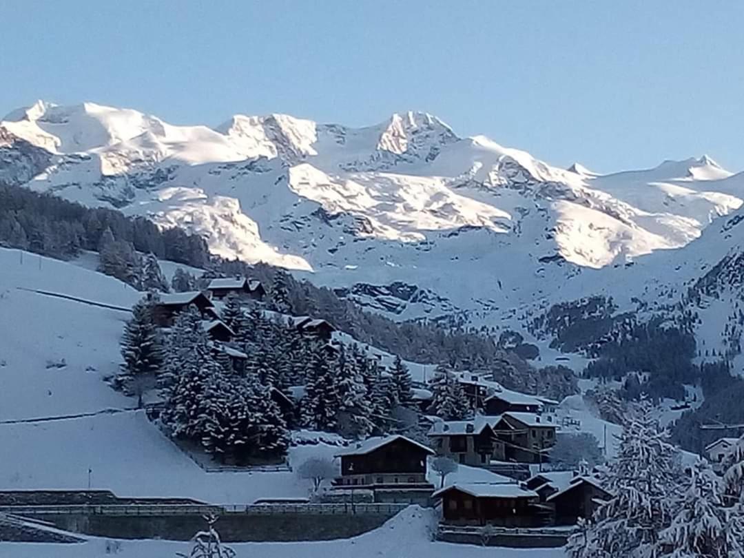 Piccola Residenza Daire Champoluc Dış mekan fotoğraf