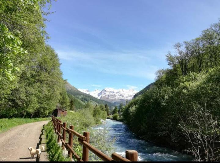 Piccola Residenza Daire Champoluc Dış mekan fotoğraf