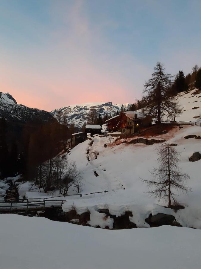 Piccola Residenza Daire Champoluc Dış mekan fotoğraf