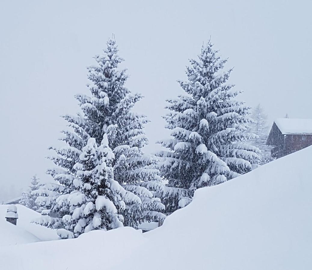 Piccola Residenza Daire Champoluc Dış mekan fotoğraf